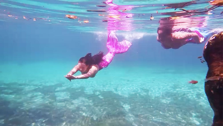 mermaids cover image 1